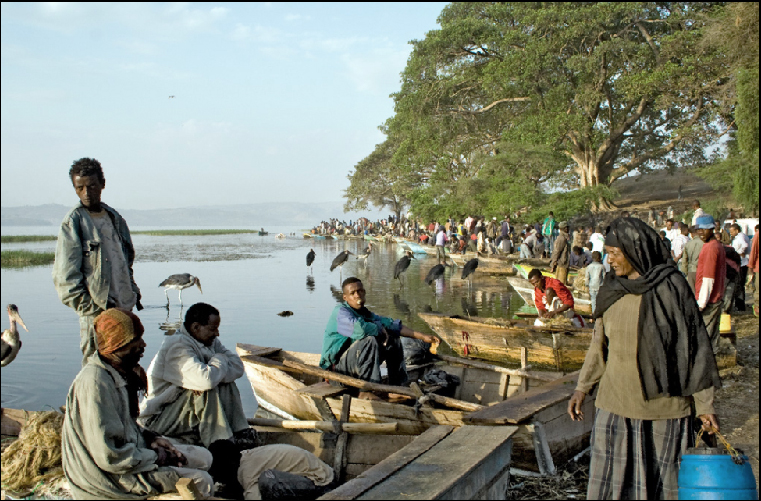Фото жизнь (light) - Sergey Cherenkov - АЛЬБОМ Эфиопия (Ethiopia) - Рыбный рынок
