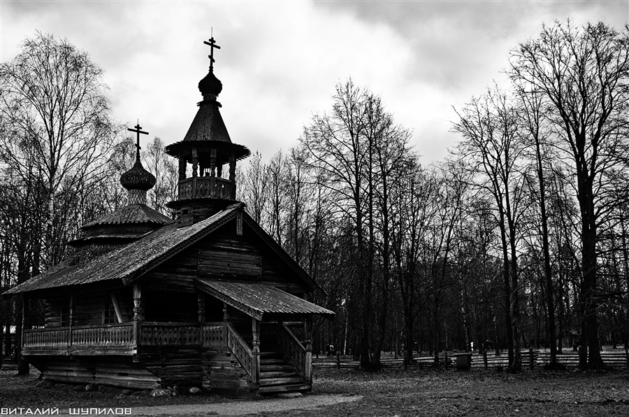 Фото жизнь