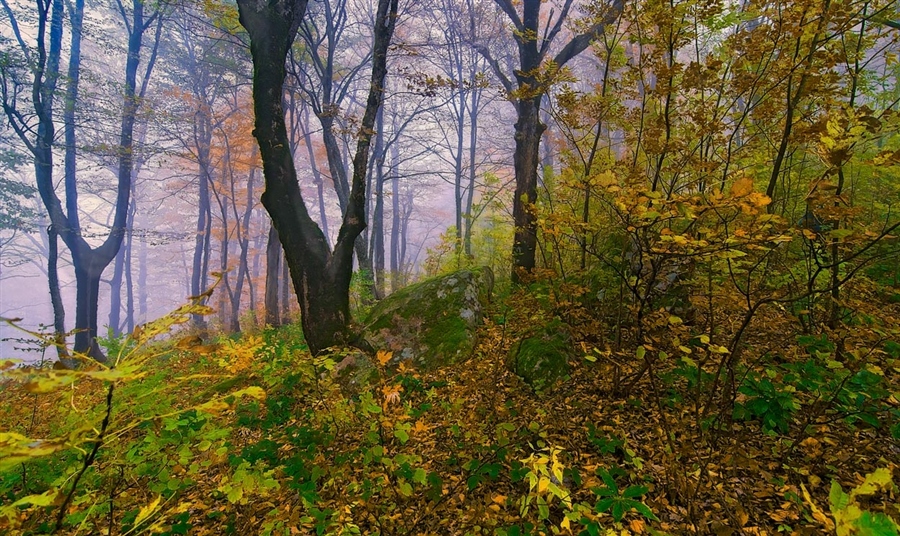 Фото жизнь
