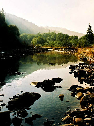 Фото жизнь (light) - Юра Гординский - корневой каталог - В Карпатах