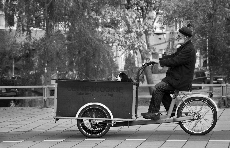 Фото жизнь - Evgenia Belyaeva - Амстердам - город мостов и велосипедов - Амстердам - город мостов и велосипедов: с доставкой на дом