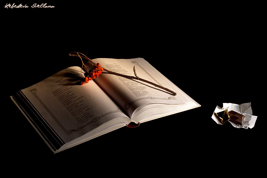 Фото жизнь (light) - Krassula - Still life - Читая Марину Цветаеву(этюд с книгой)