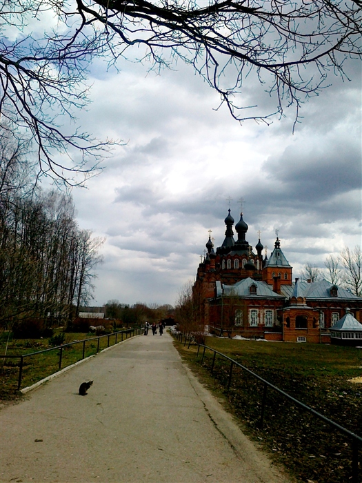 Фото жизнь