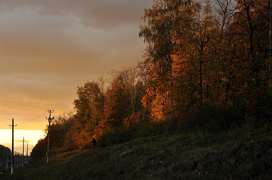 Фото жизнь