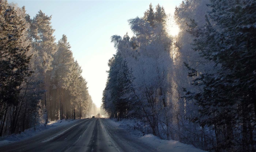Фото жизнь