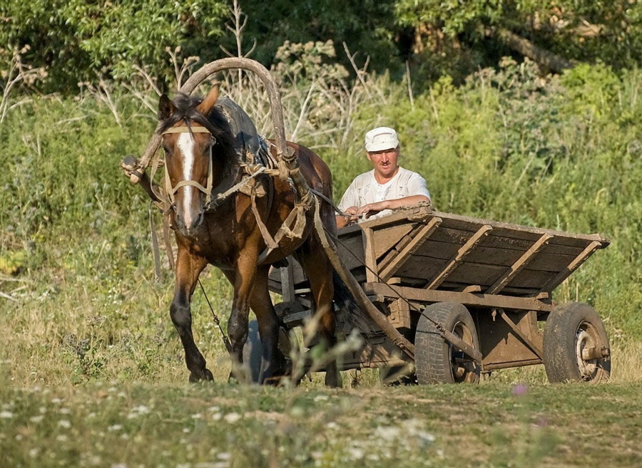Фото жизнь