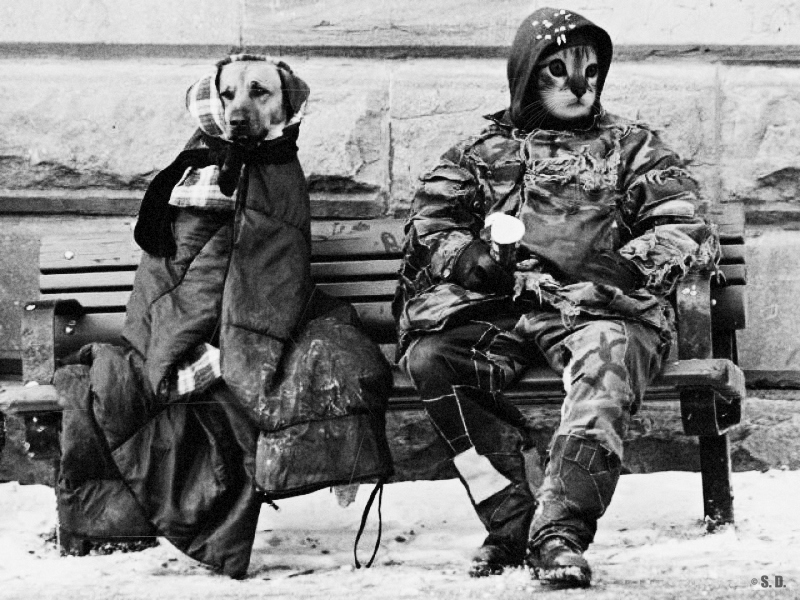 Фото жизнь