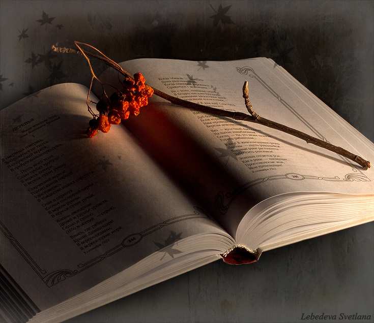 Фото жизнь (light) - Krassula - Still life - Этюд с книгой и пылающей рябиной
