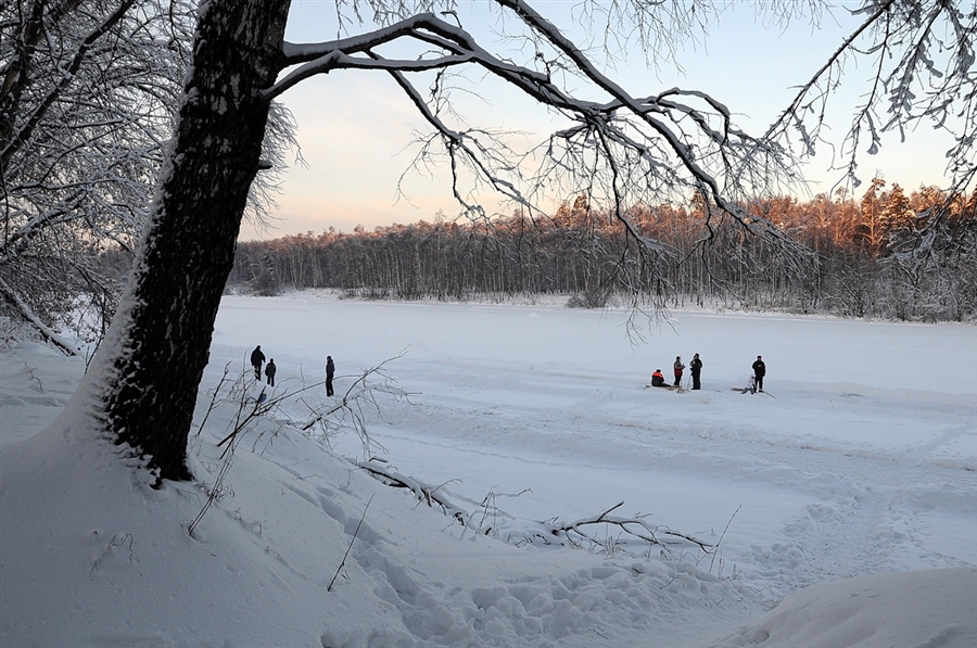 Фото жизнь
