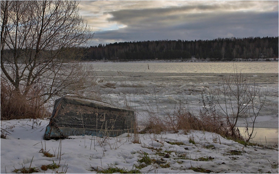 Фото жизнь