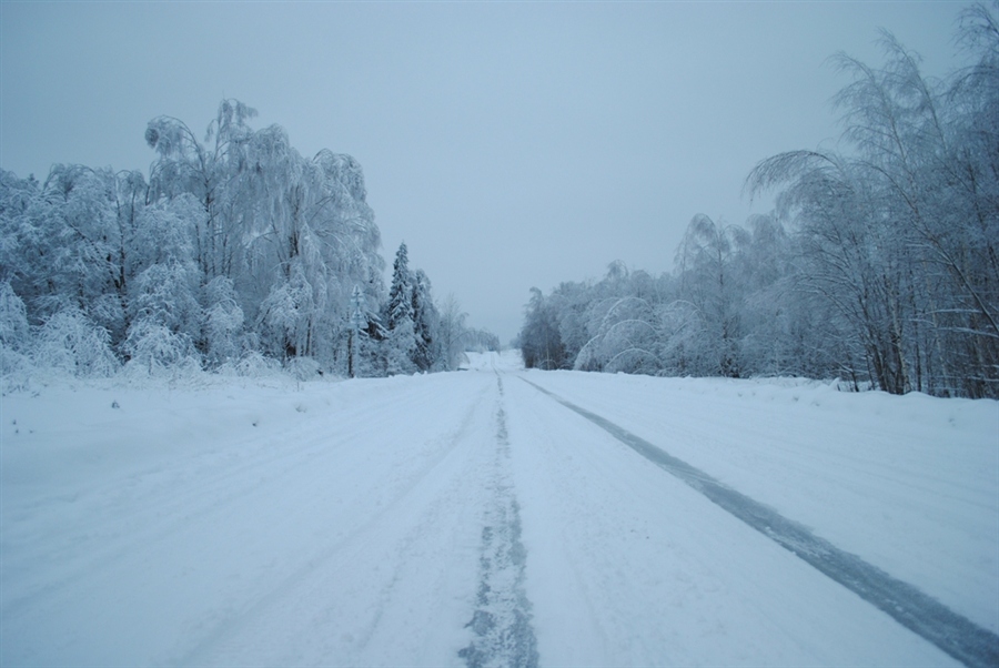 Фото жизнь