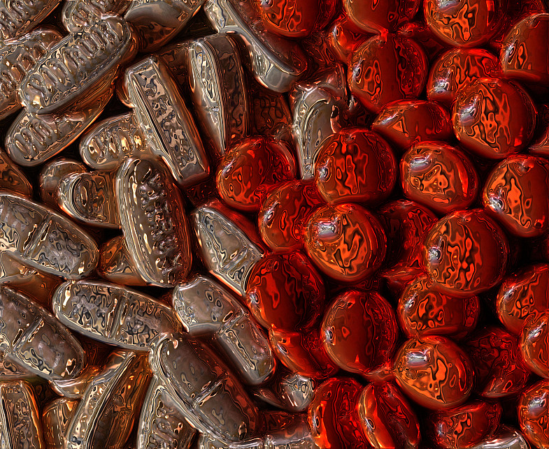 Фото жизнь (light) - AndreySavelyev - корневой каталог - ....