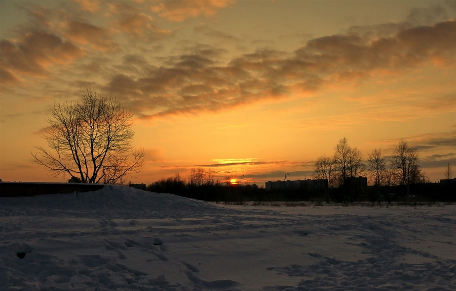 Фото жизнь