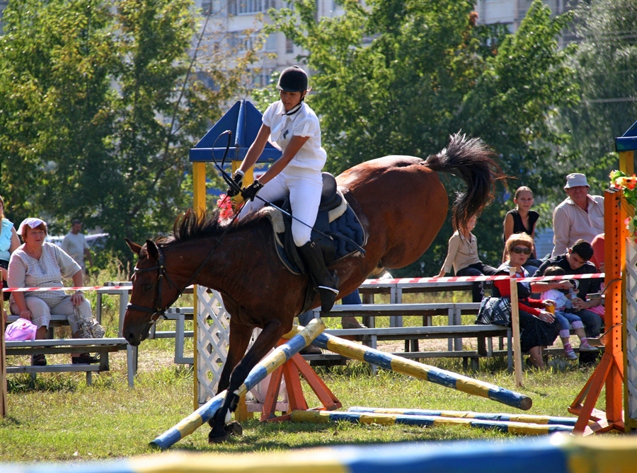 Фото жизнь