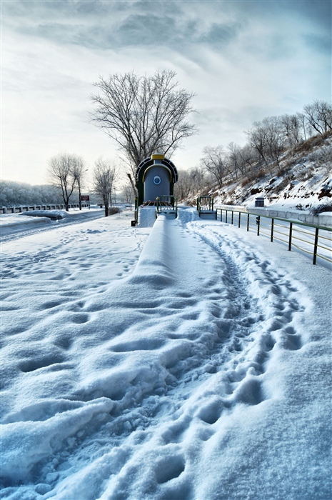 Фото жизнь