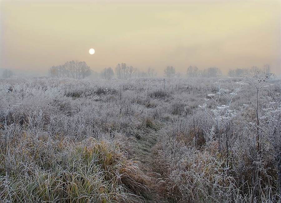 Фото жизнь