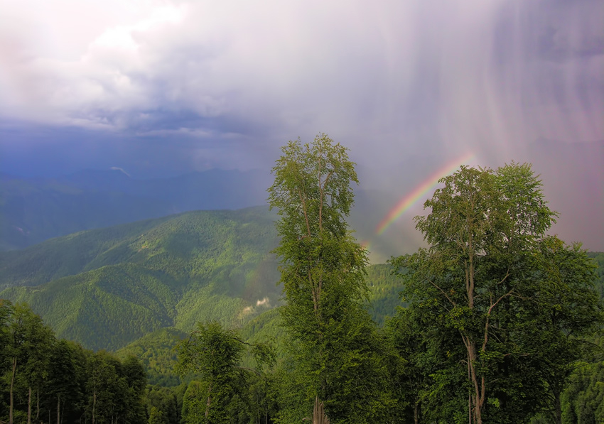 Фото жизнь (light) - usater - Пейзажи - Дождь в горах