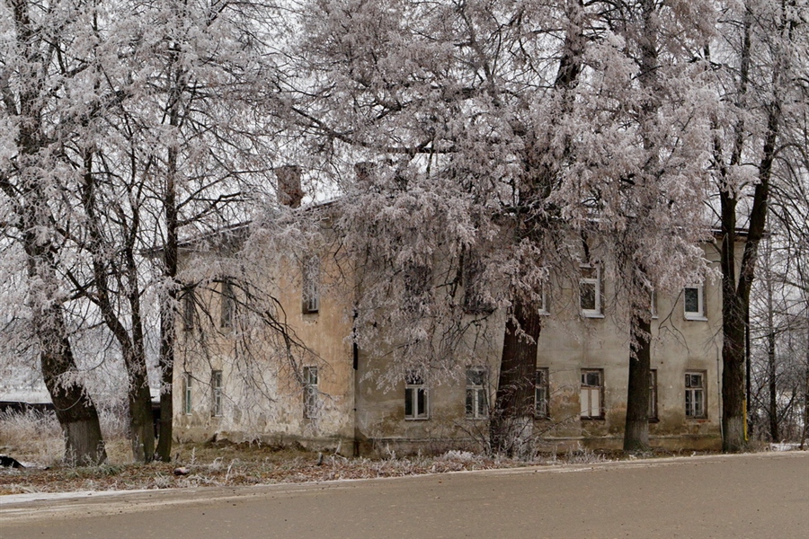 Фото жизнь