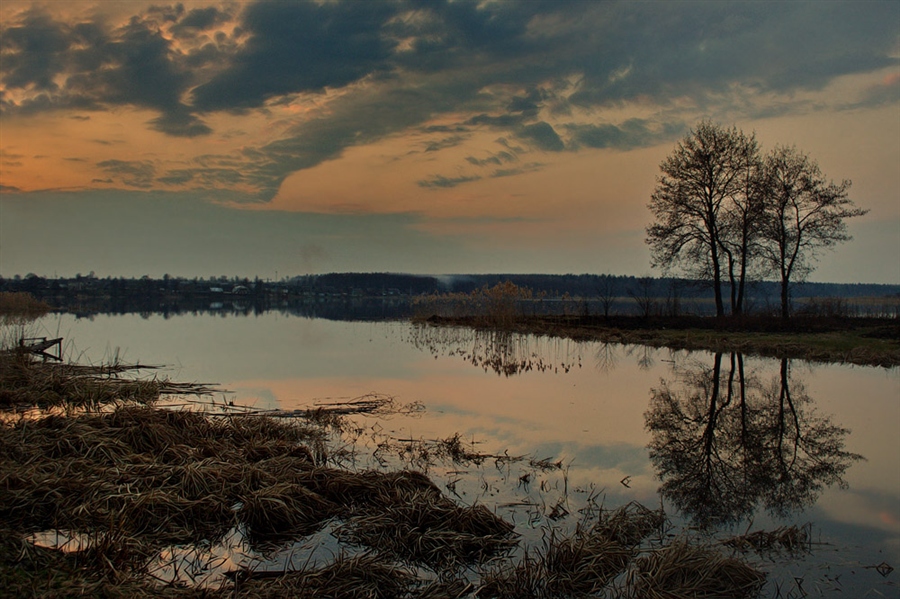 Фото жизнь