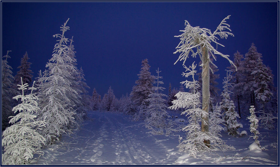 Фото жизнь (light) - Виктор Солодухин - Сказочная зима - По дороге в Полярную ночь