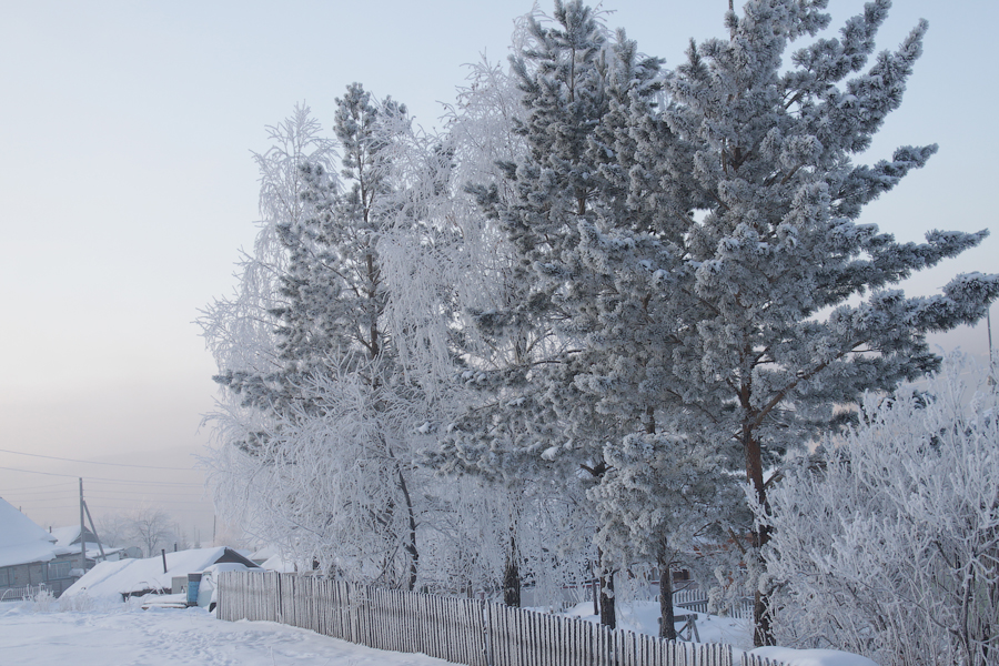 Фото жизнь (light) - Аринка - Зима - Морозное утро