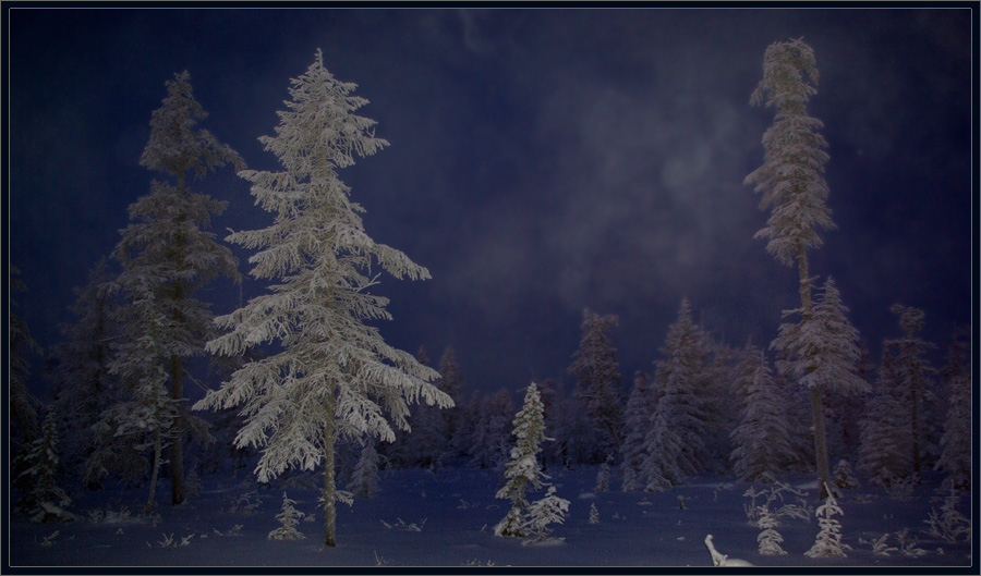 Фото жизнь (light) - Виктор Солодухин - Сказочная зима - В полярную ночь