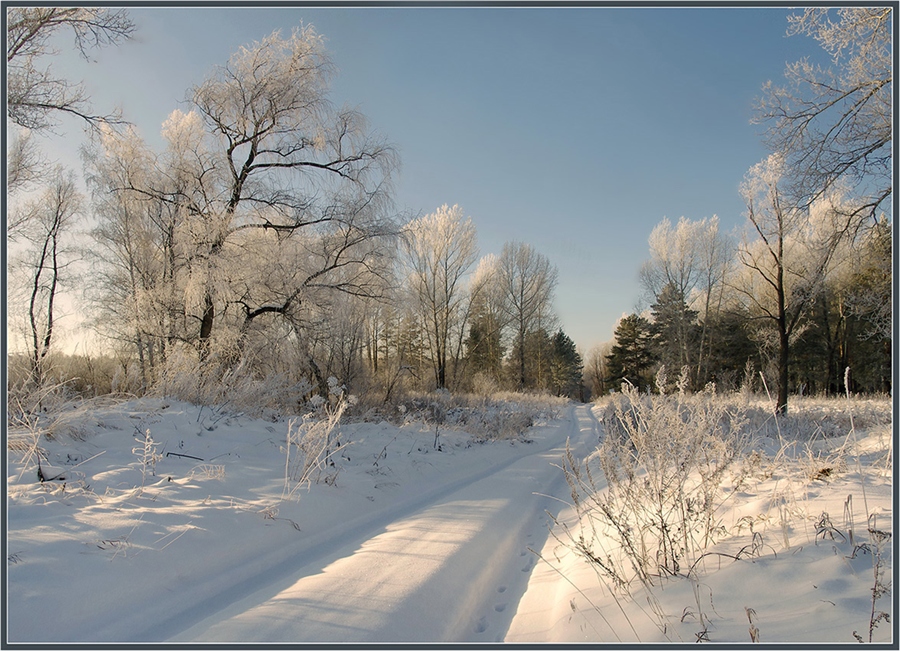 Фото жизнь