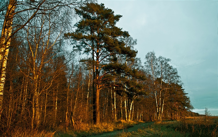Фото жизнь