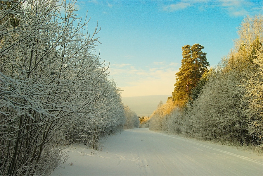 Фото жизнь