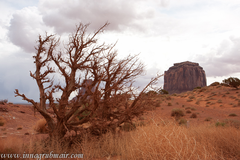 Фото жизнь (light) - ina-gru - корневой каталог - Monument Valley-1