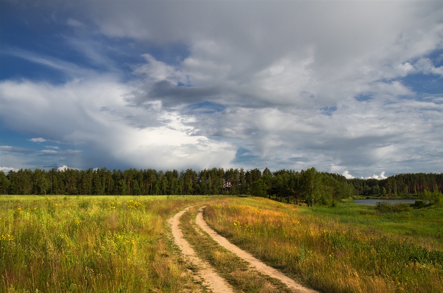 Фото жизнь