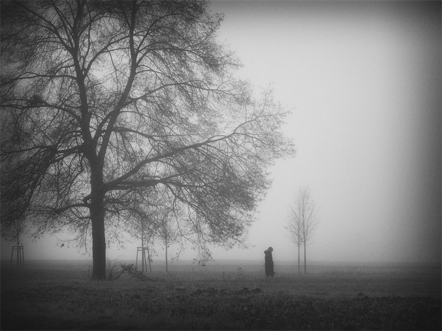 Фото жизнь (light) - mystera - Faszination Nebel. - Lonesome...