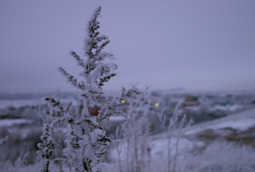 Фото жизнь (light) - Дмитрий Бахтиаров - корневой каталог - ...туманный, зимний вечер!