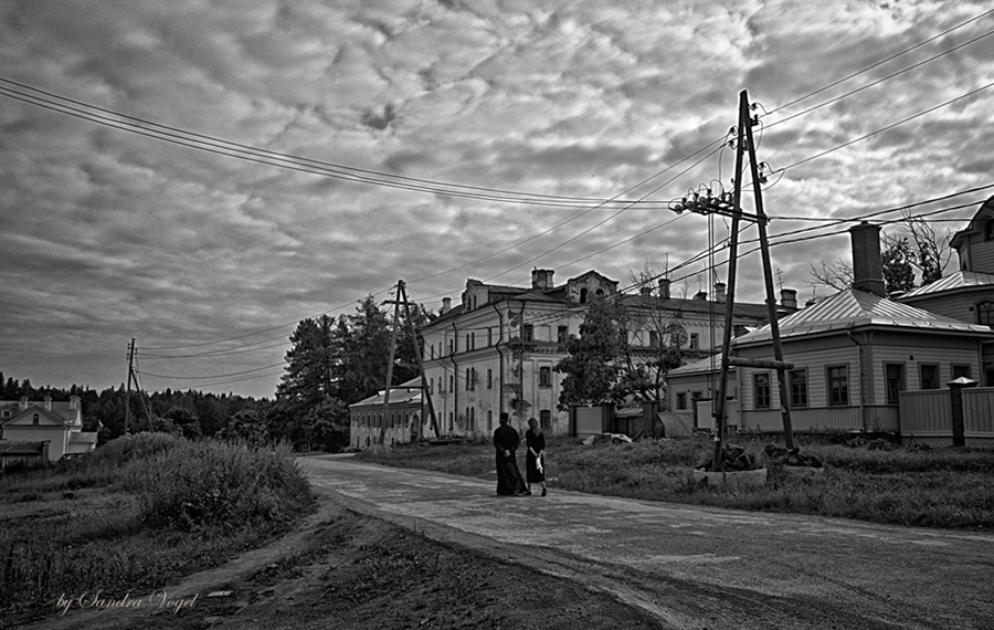 Фото жизнь