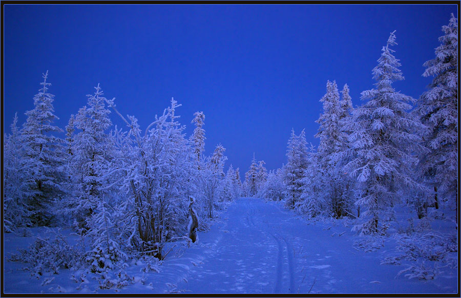 Фото жизнь (light) - Виктор Солодухин - Сказочная зима - По лыжному пути