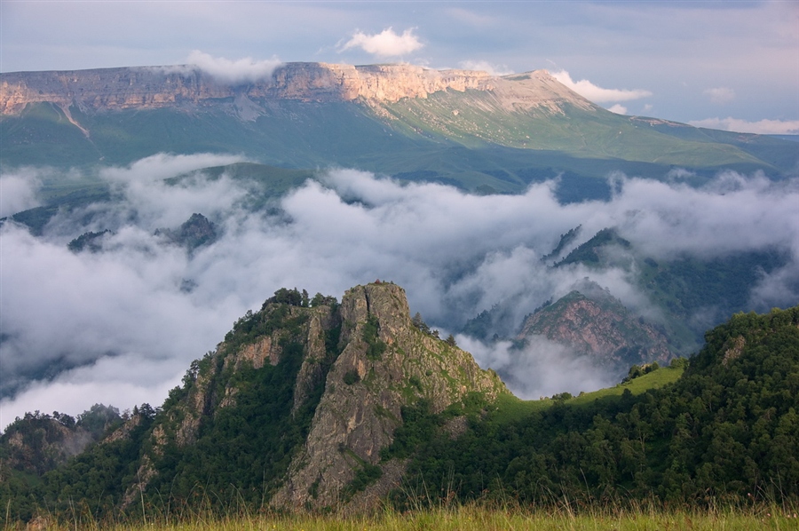 Фото жизнь