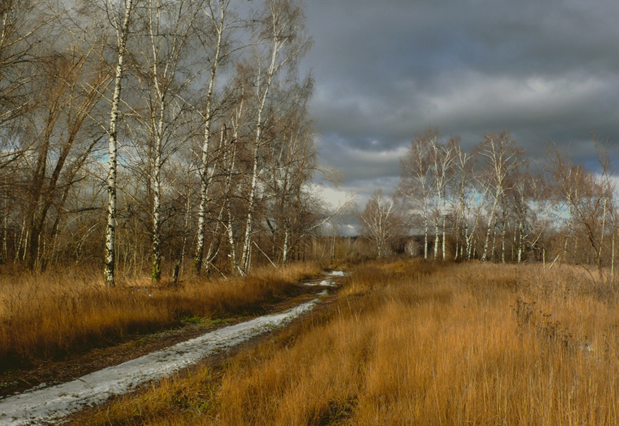 Фото жизнь