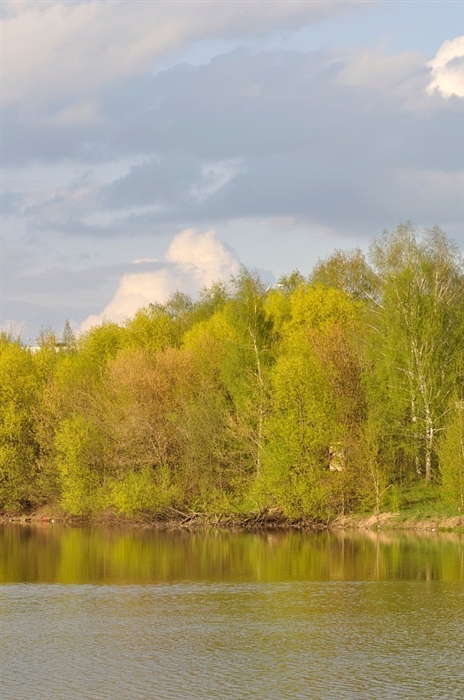 Фото жизнь