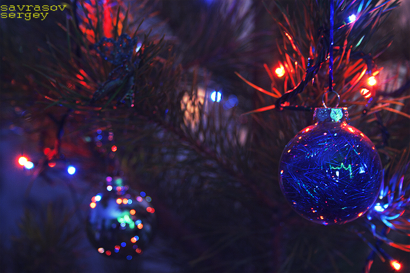 Фото жизнь (light) - саврасов сергей - корневой каталог - новогодняя