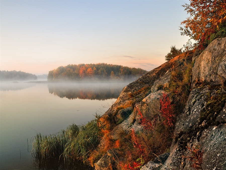 Фото жизнь