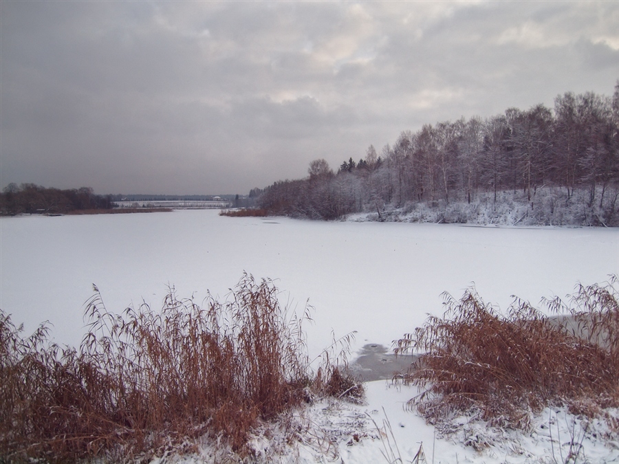 Фото жизнь