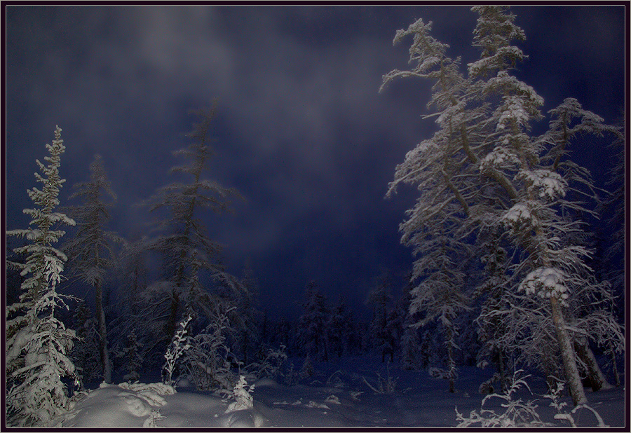 Фото жизнь (light) - Виктор Солодухин - Сказочная зима - Ночные метели