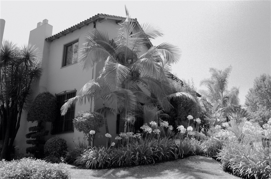 Oakwood Avenue Los Angeles