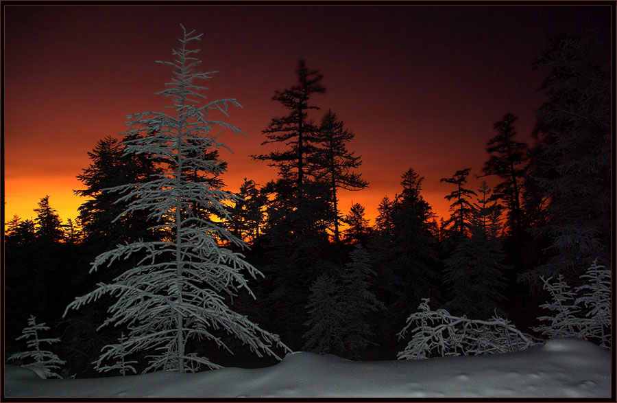 Фото жизнь (light) - Виктор Солодухин - Сказочная зима - Догорающий закат