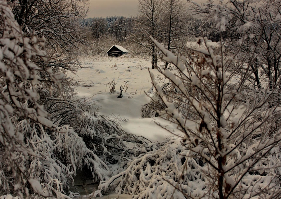 Фото жизнь