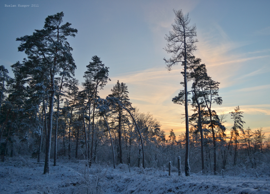Фото жизнь - Кузьгов Руслан - корневой каталог - Зимние леса