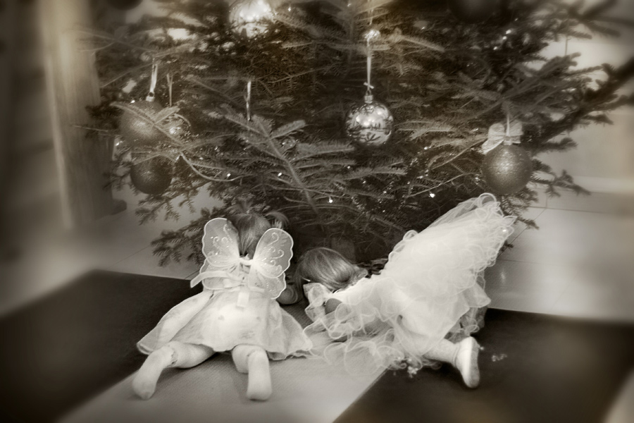 Фото жизнь (light) - CKira - корневой каталог - в поисках...