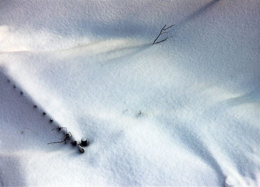 Фото жизнь - Evgenia Belyaeva - корневой каталог - После снегопада