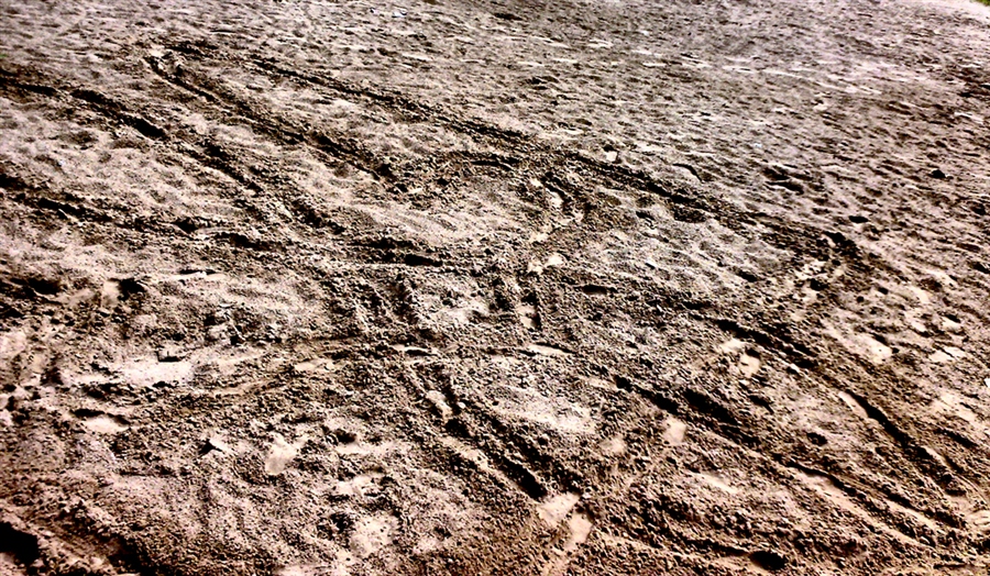 тризуб на піску