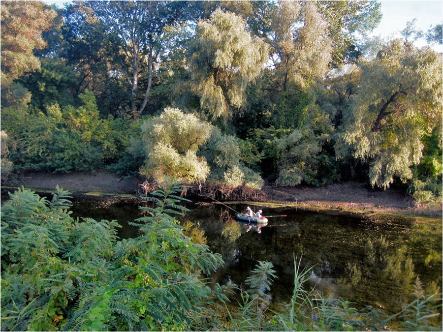 Фото жизнь